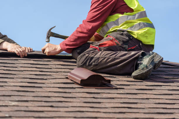 Best Roof Leak Repair  in West Springfield, VA